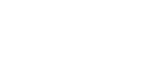 Rhönmodul Systems Logo